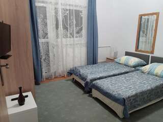 Гостевой дом Dalia Ивонич-Здруй Двухместный номер с 2 отдельными кроватями и ванной комнатой-2